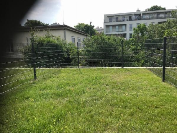 Garten / Blick zum Nachbarn 